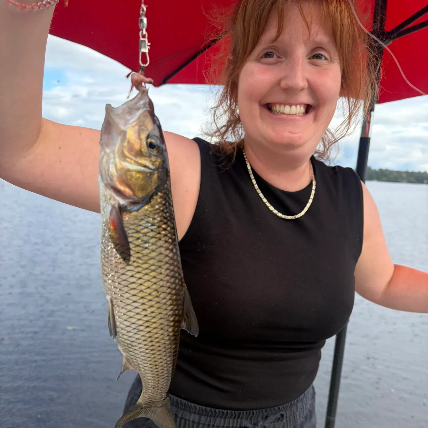 Fallfish caught on Fishbrain