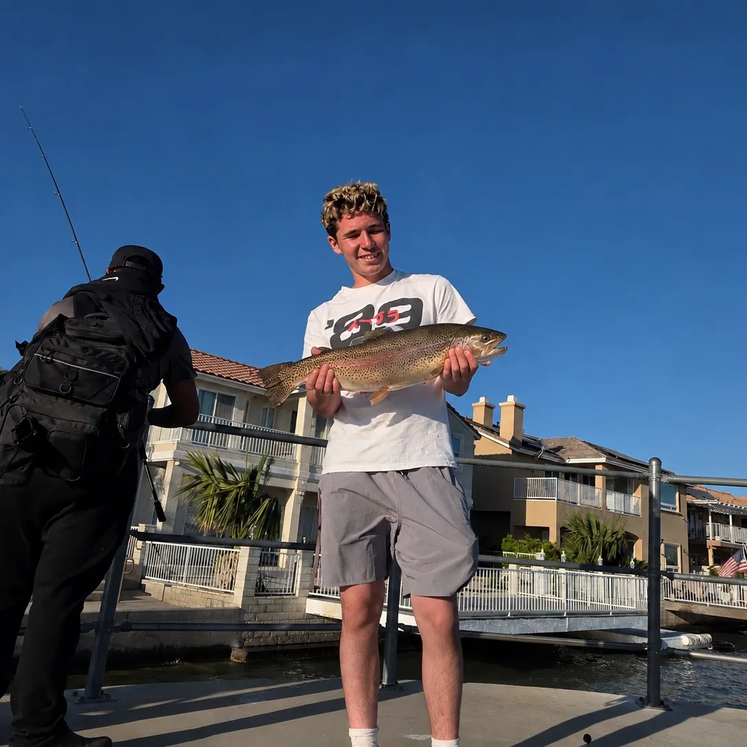 The most recent Cutbow catches on Fishbrain