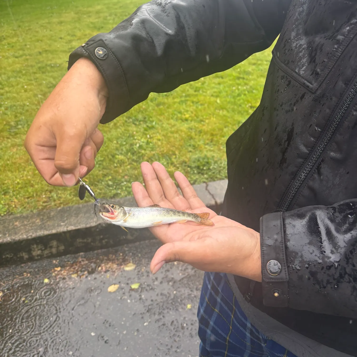 Cutthroat trout caught on Fishbrain