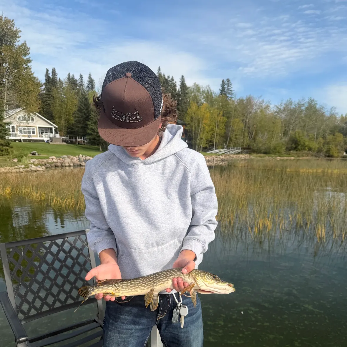 Northern pike caught on Fishbrain