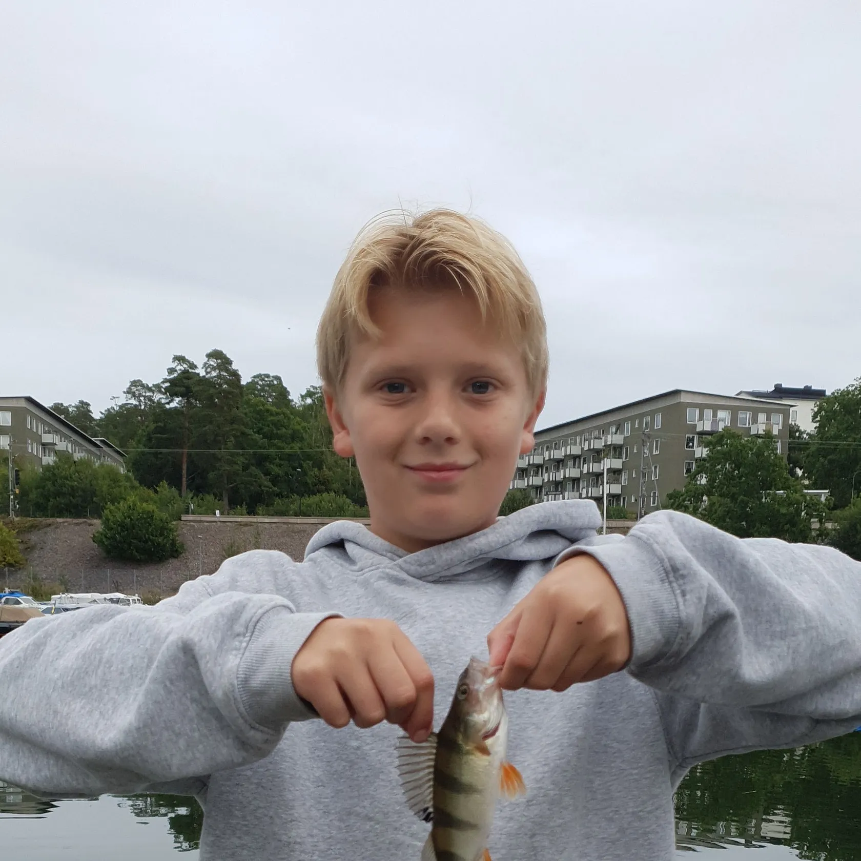 European perch caught on Fishbrain
