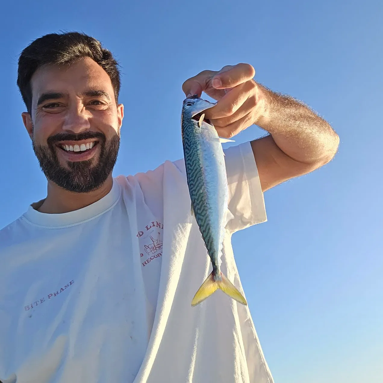 Atlantic mackerel caught on Fishbrain