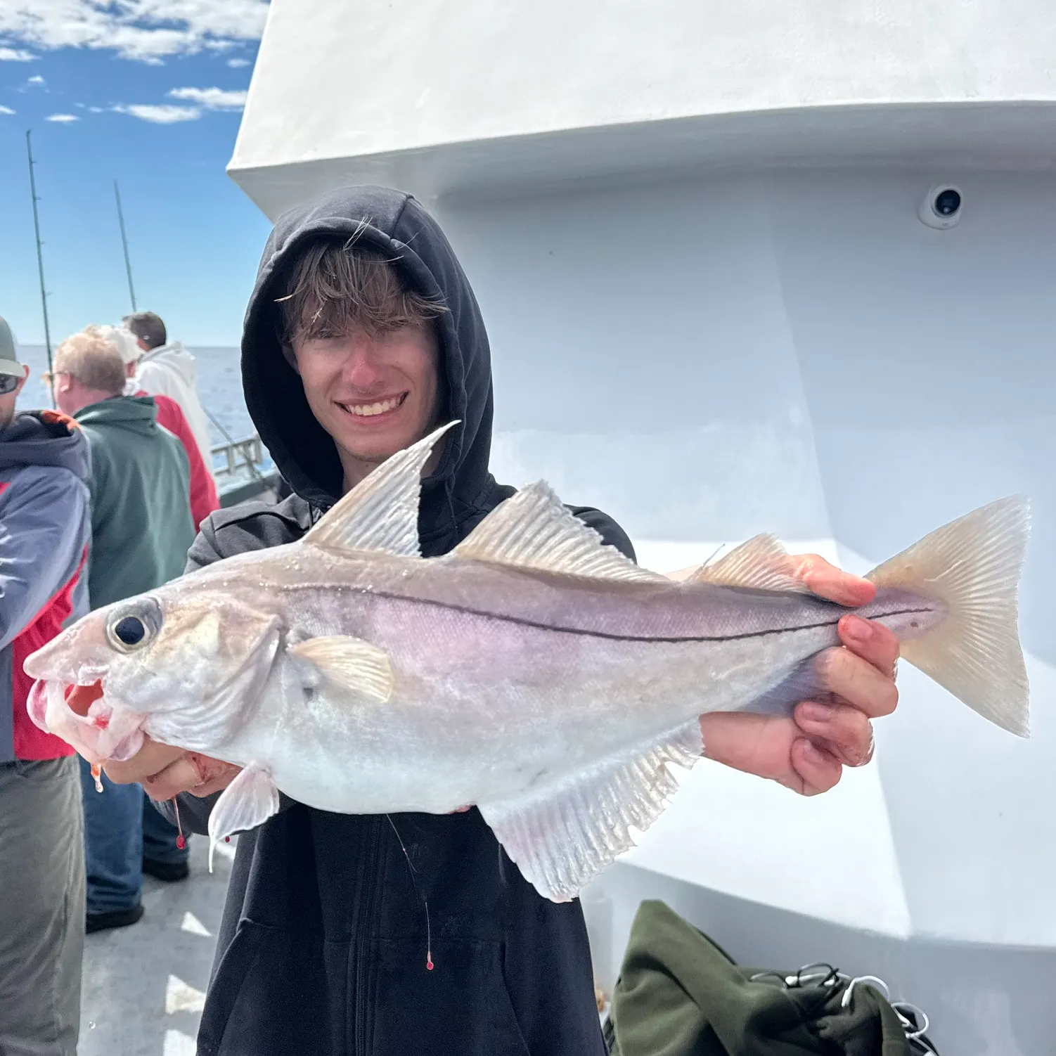 The most recent Haddock catches on Fishbrain