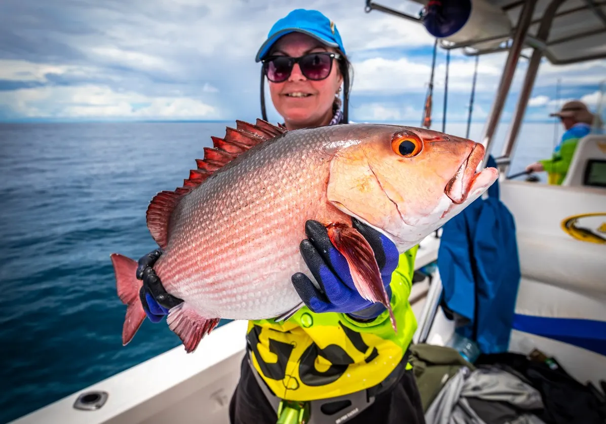 Two-spot red snapper