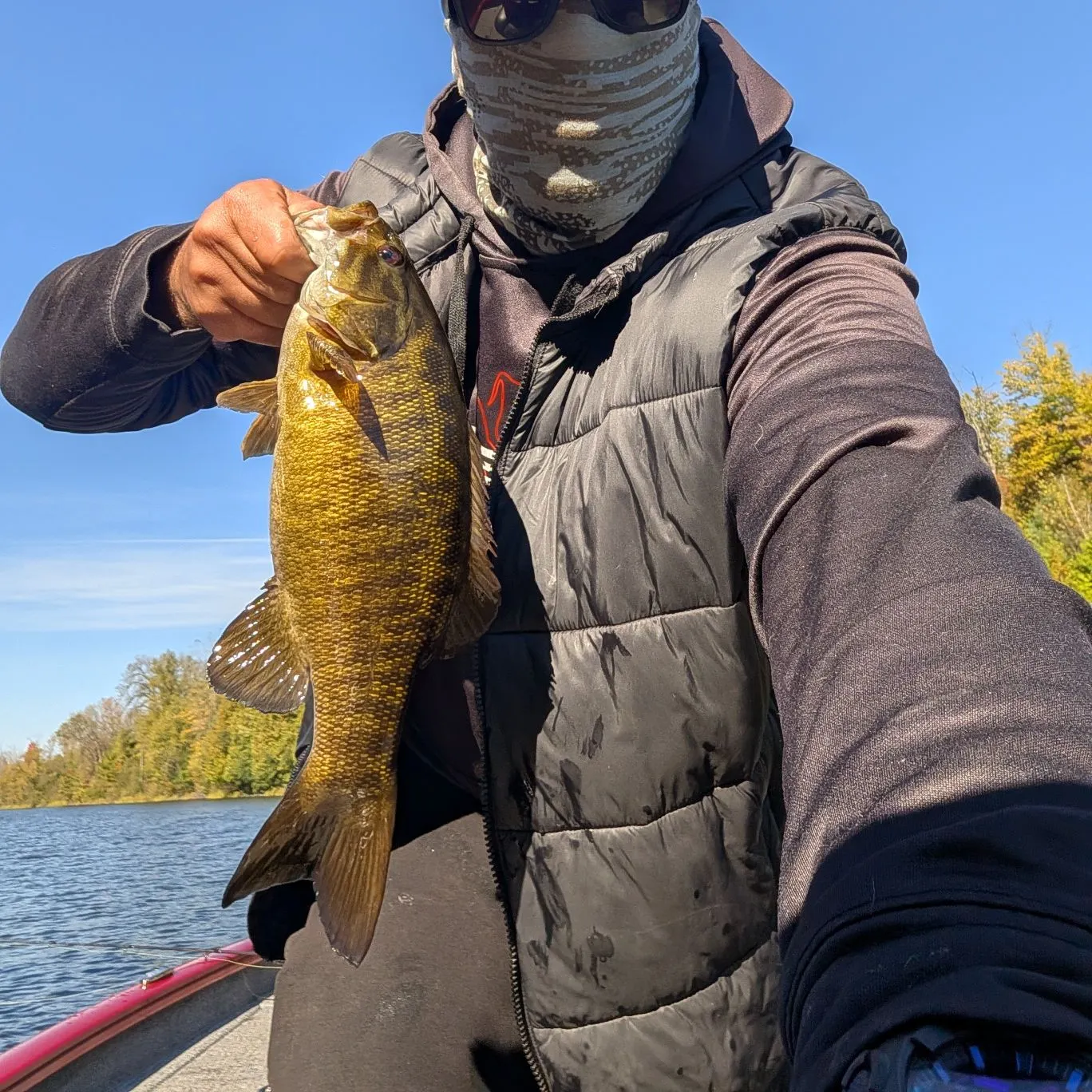 Smallmouth bass caught on Fishbrain