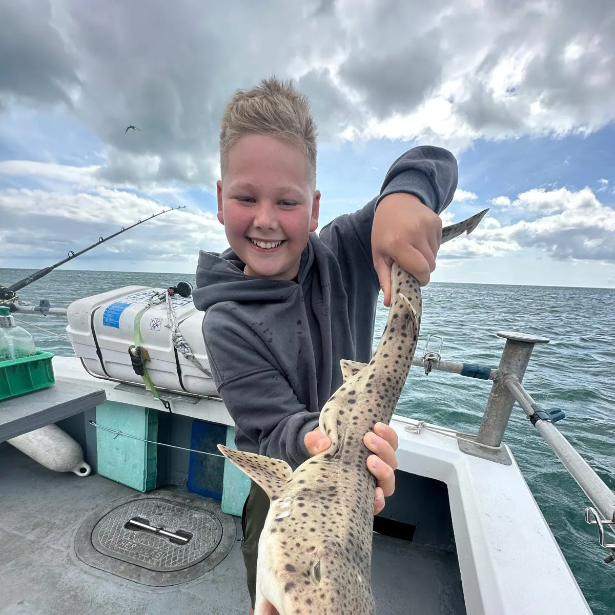The most recent Nursehound catches on Fishbrain