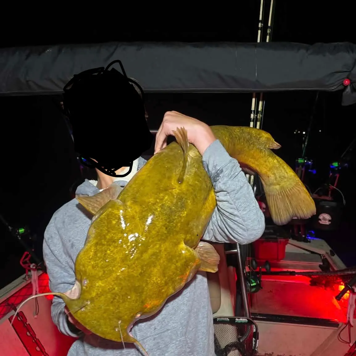 Flathead catfish caught on Fishbrain