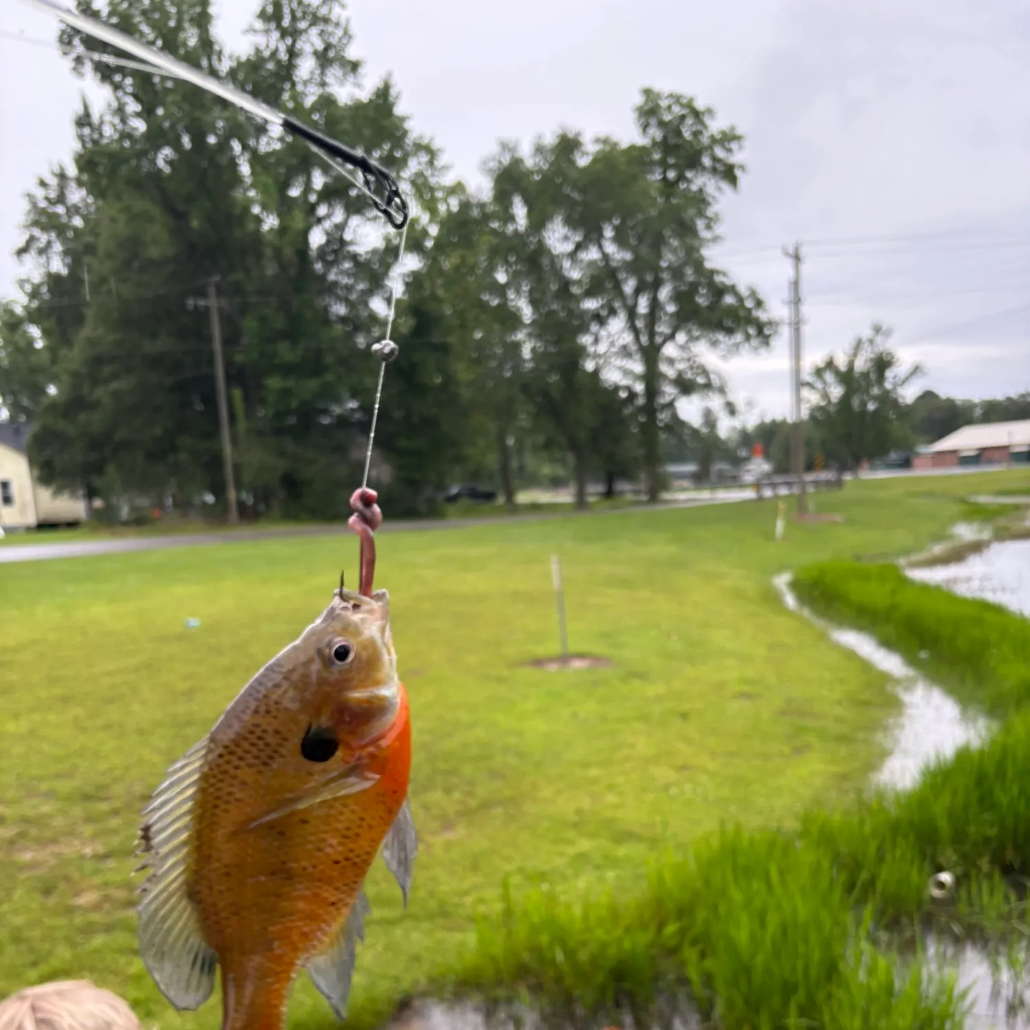 catch