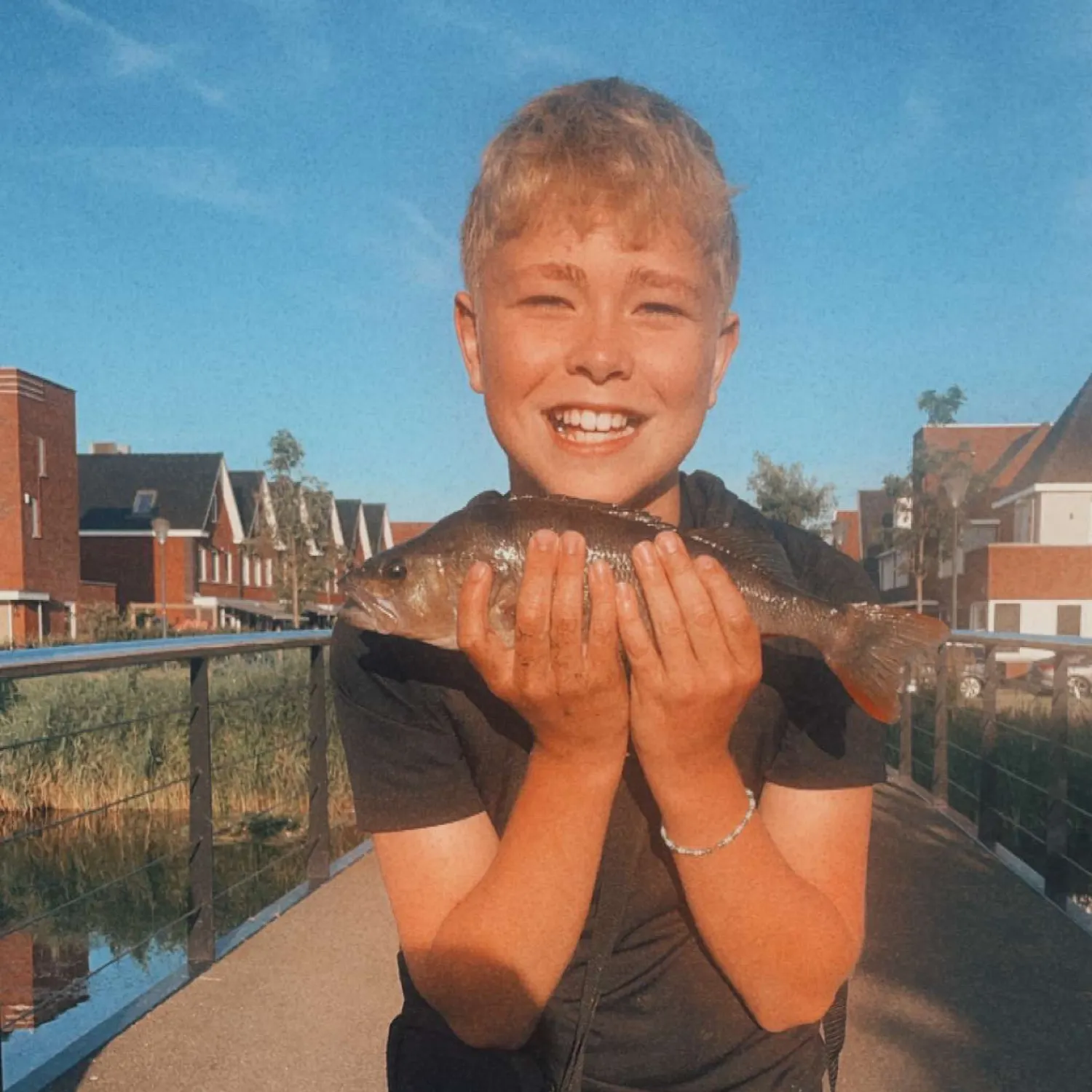 European perch caught on Fishbrain
