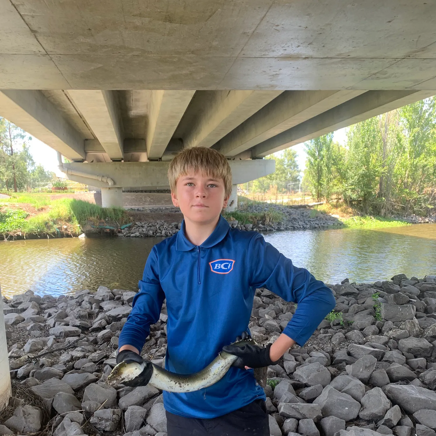 The most recent Shortfin eel catches on Fishbrain