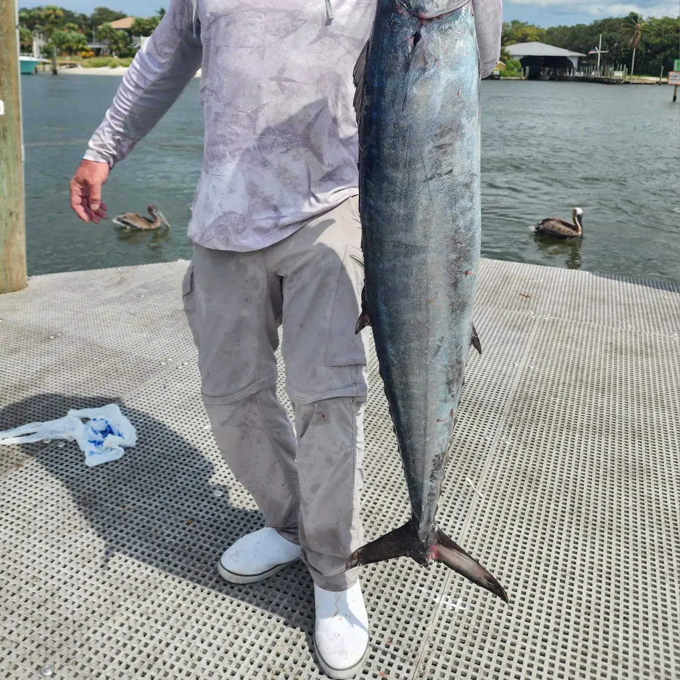 The most recent Wahoo catches on Fishbrain