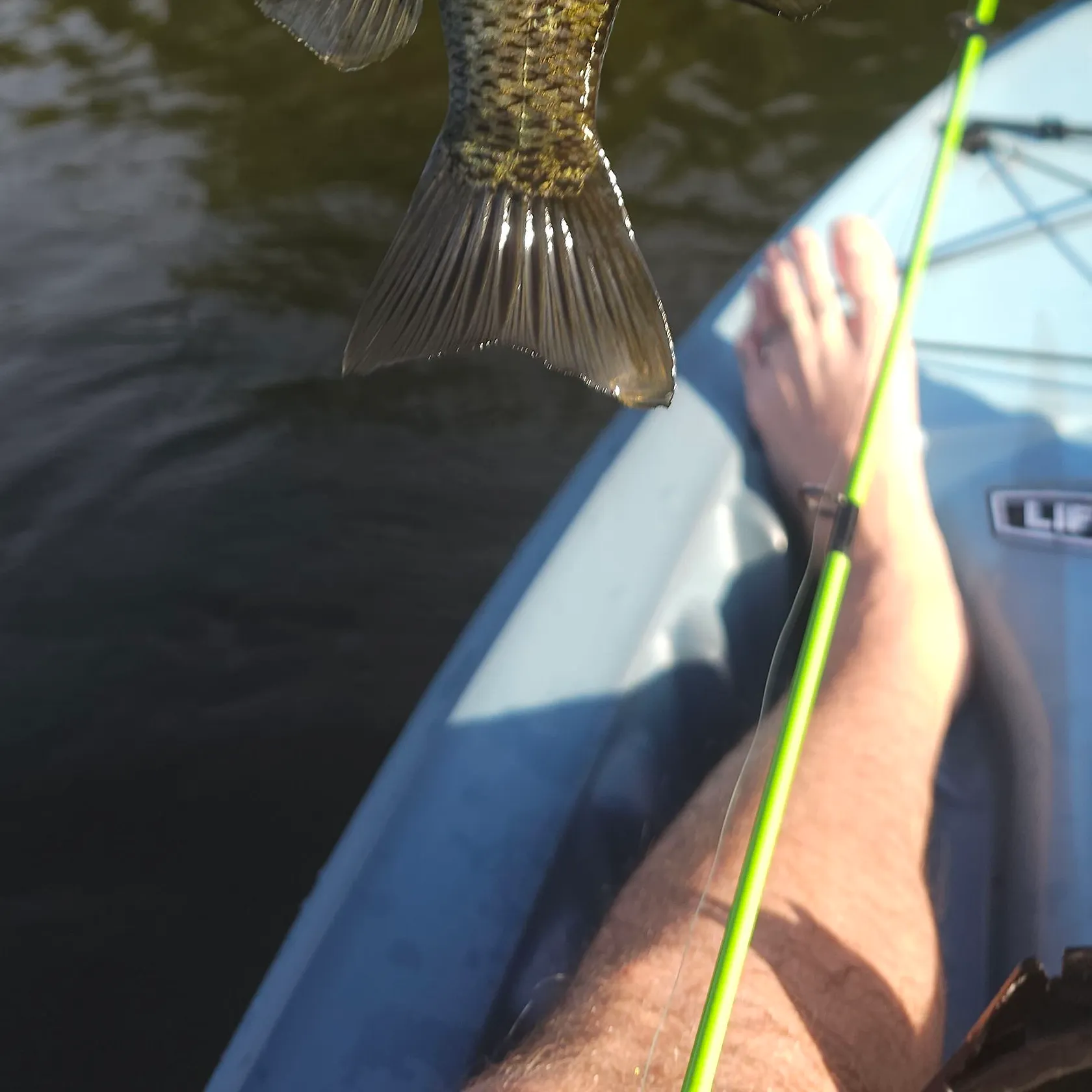 Redear sunfish caught on Fishbrain