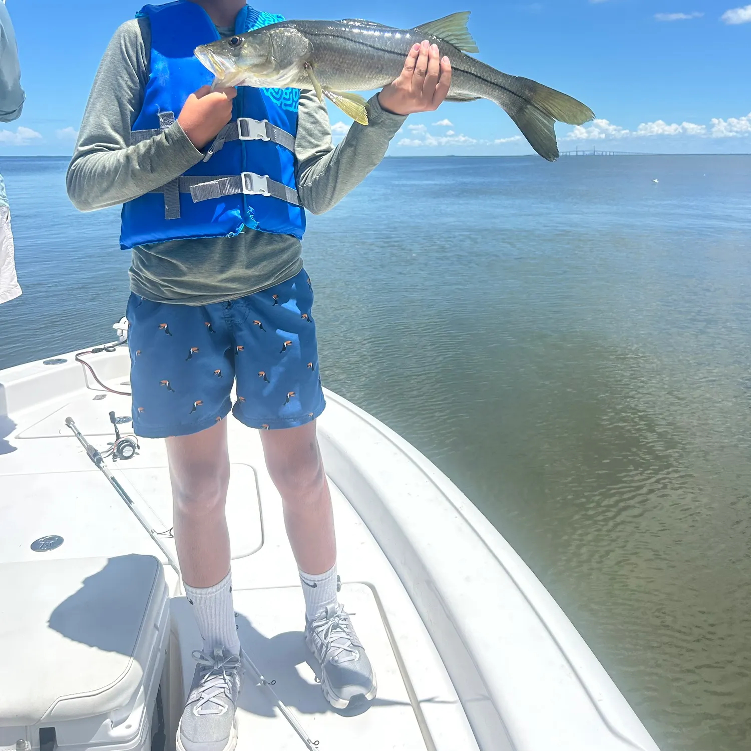 The most recent Fat snook catches on Fishbrain