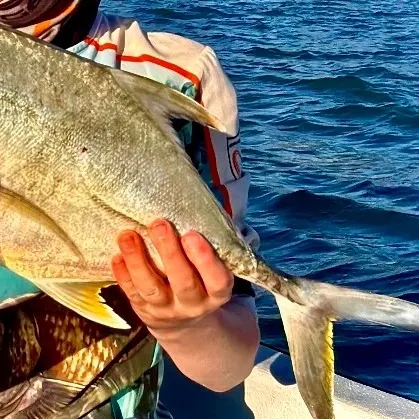 Giant trevally caught on Fishbrain