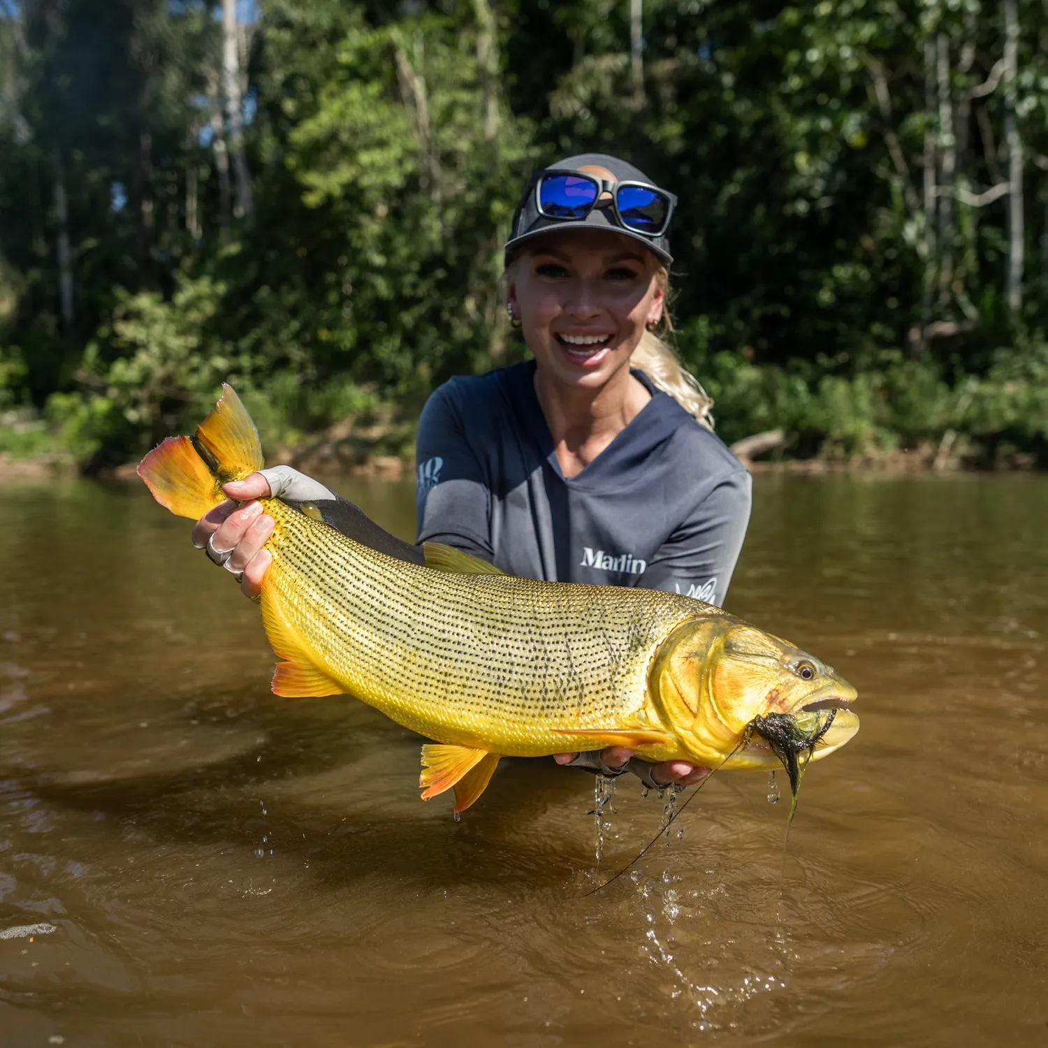 The most recent Golden dorado catches on Fishbrain