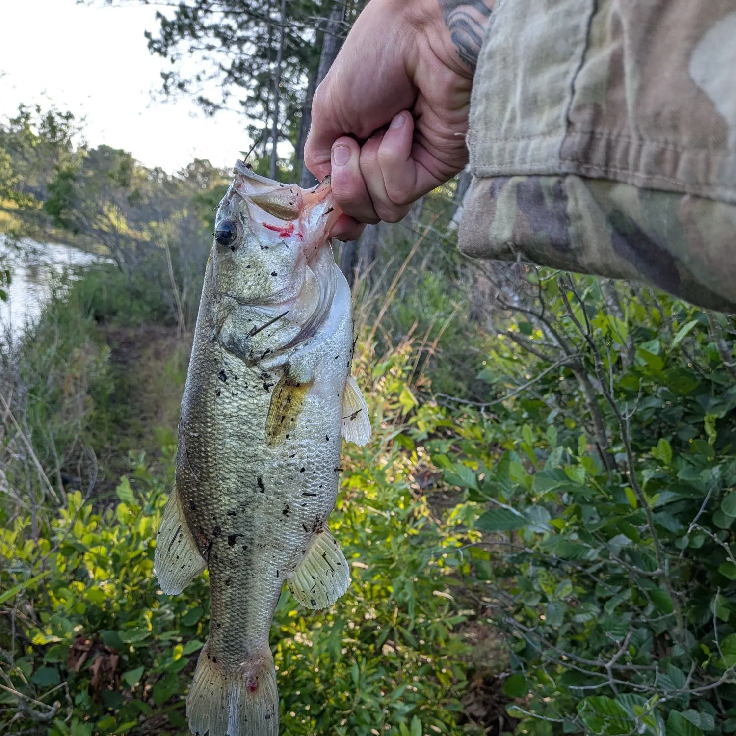 catch
