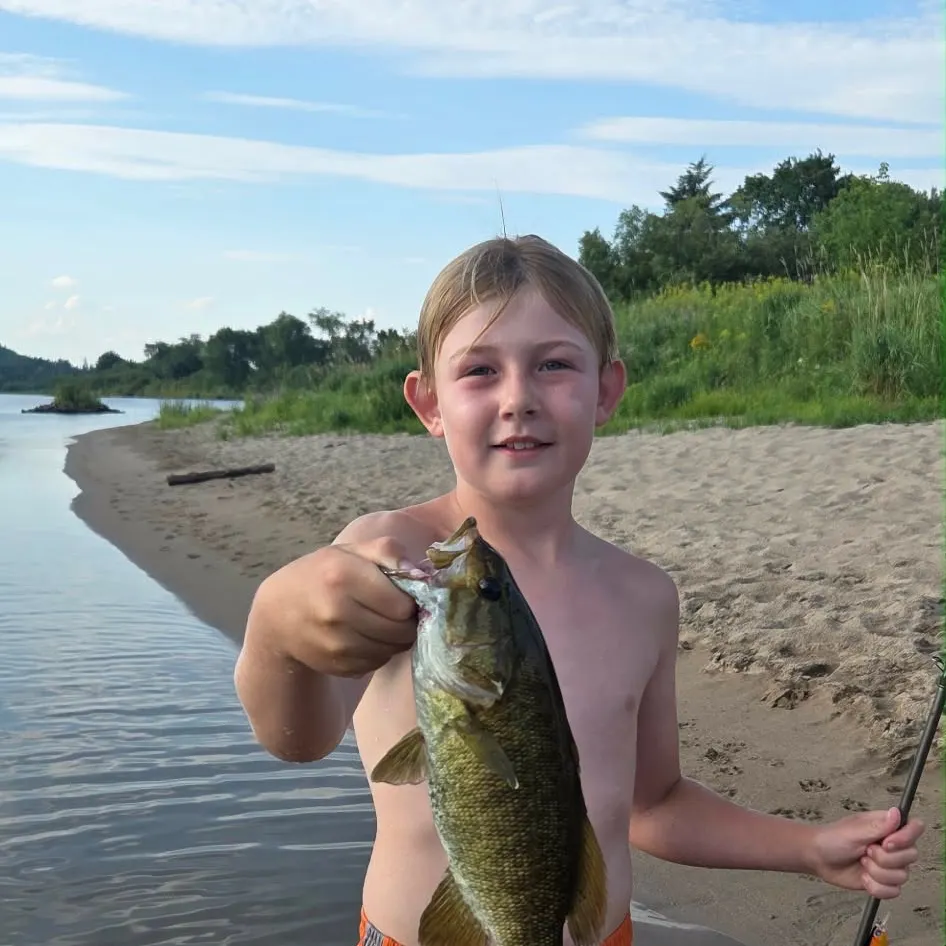 Smallmouth bass caught on Fishbrain