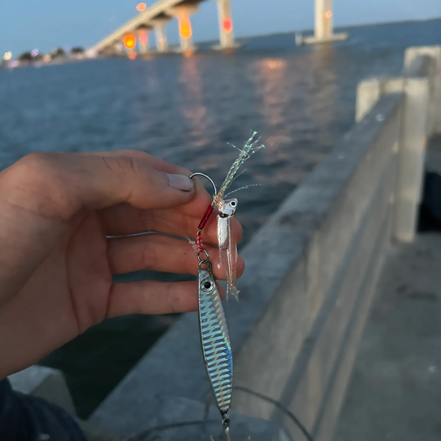 The most recent Western mosquitofish catches on Fishbrain