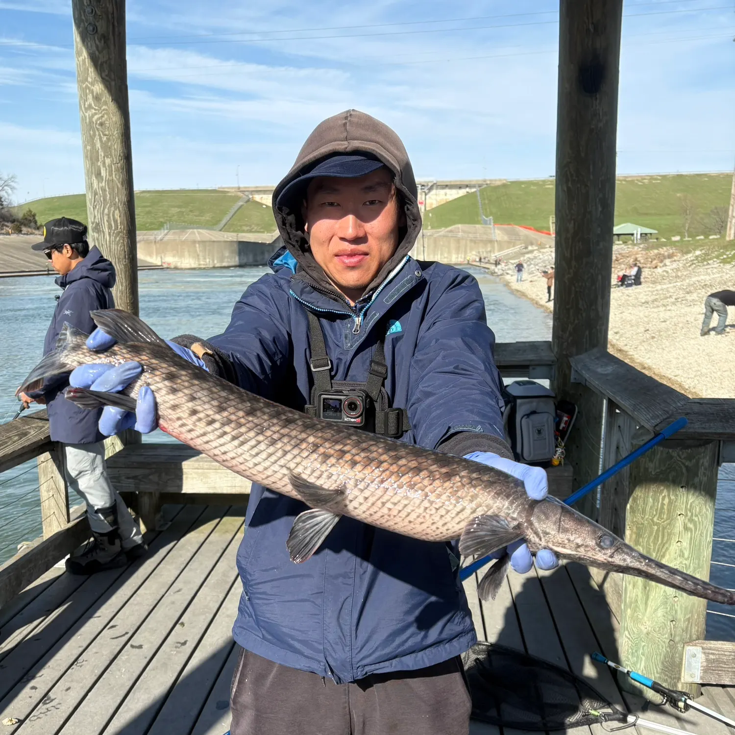 The most recent Spotted gar catches on Fishbrain