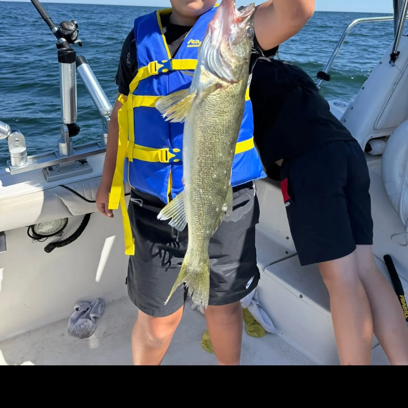 The most recent Walleye catches on Fishbrain