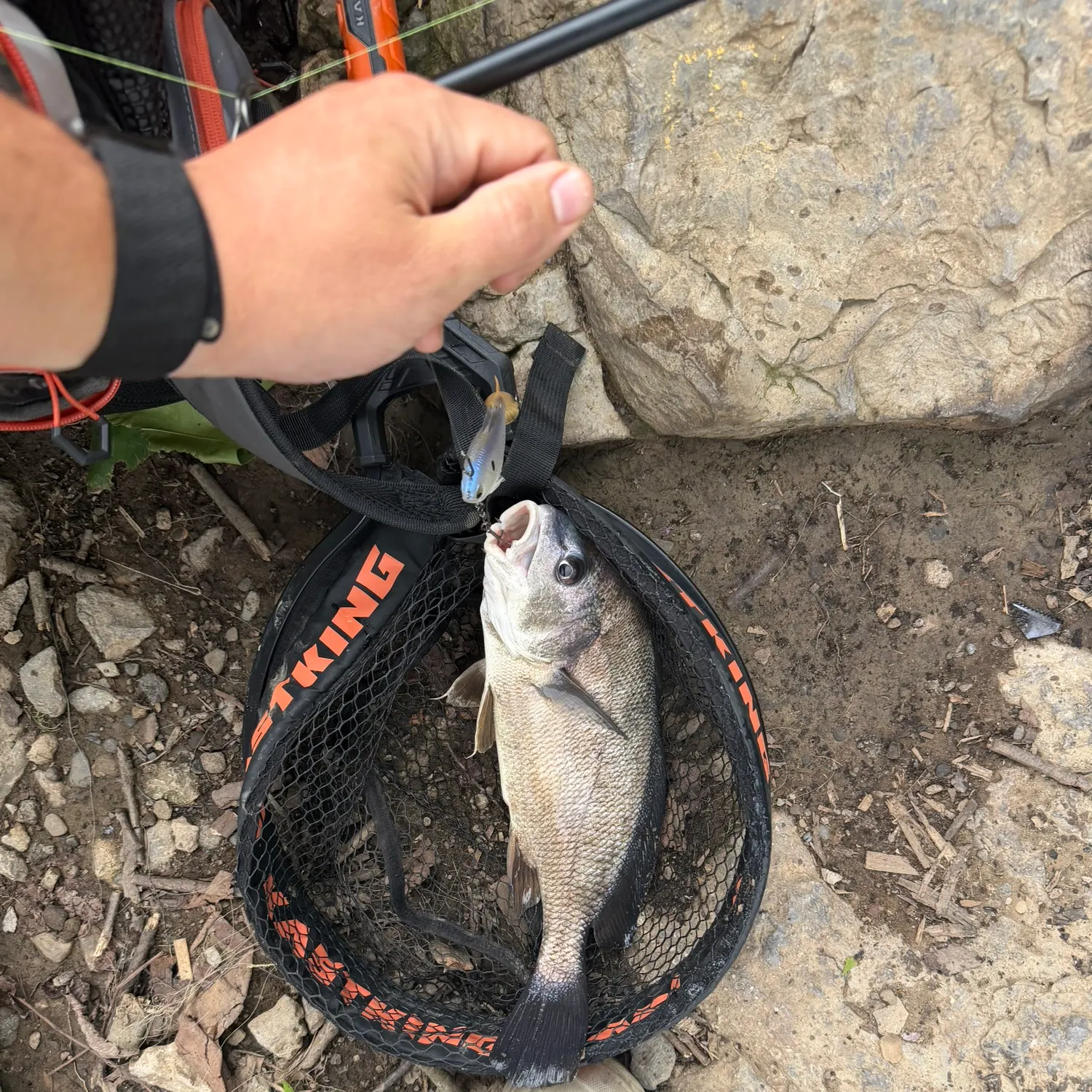 catch
