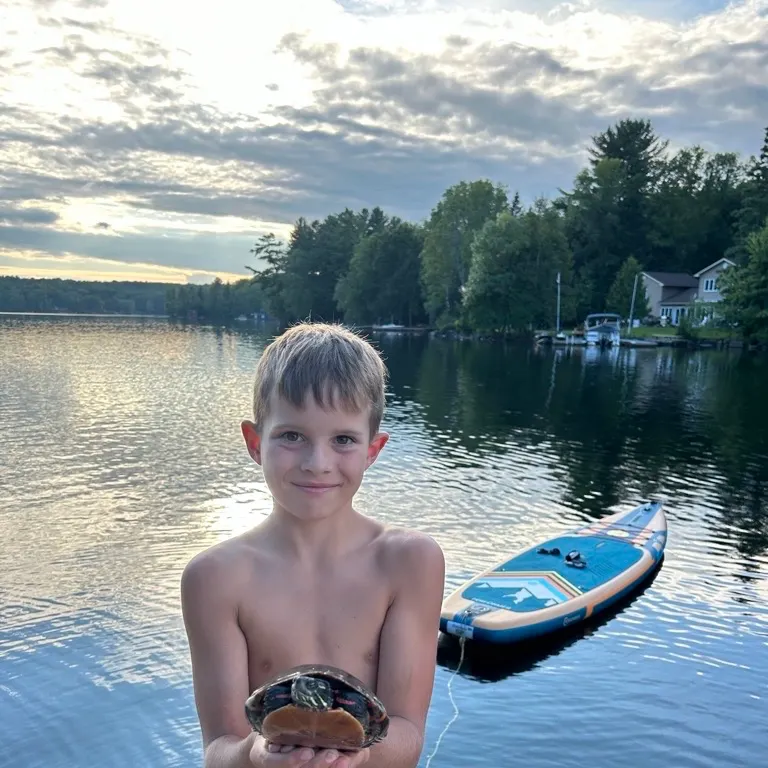 The most recent Painted turtle catches on Fishbrain