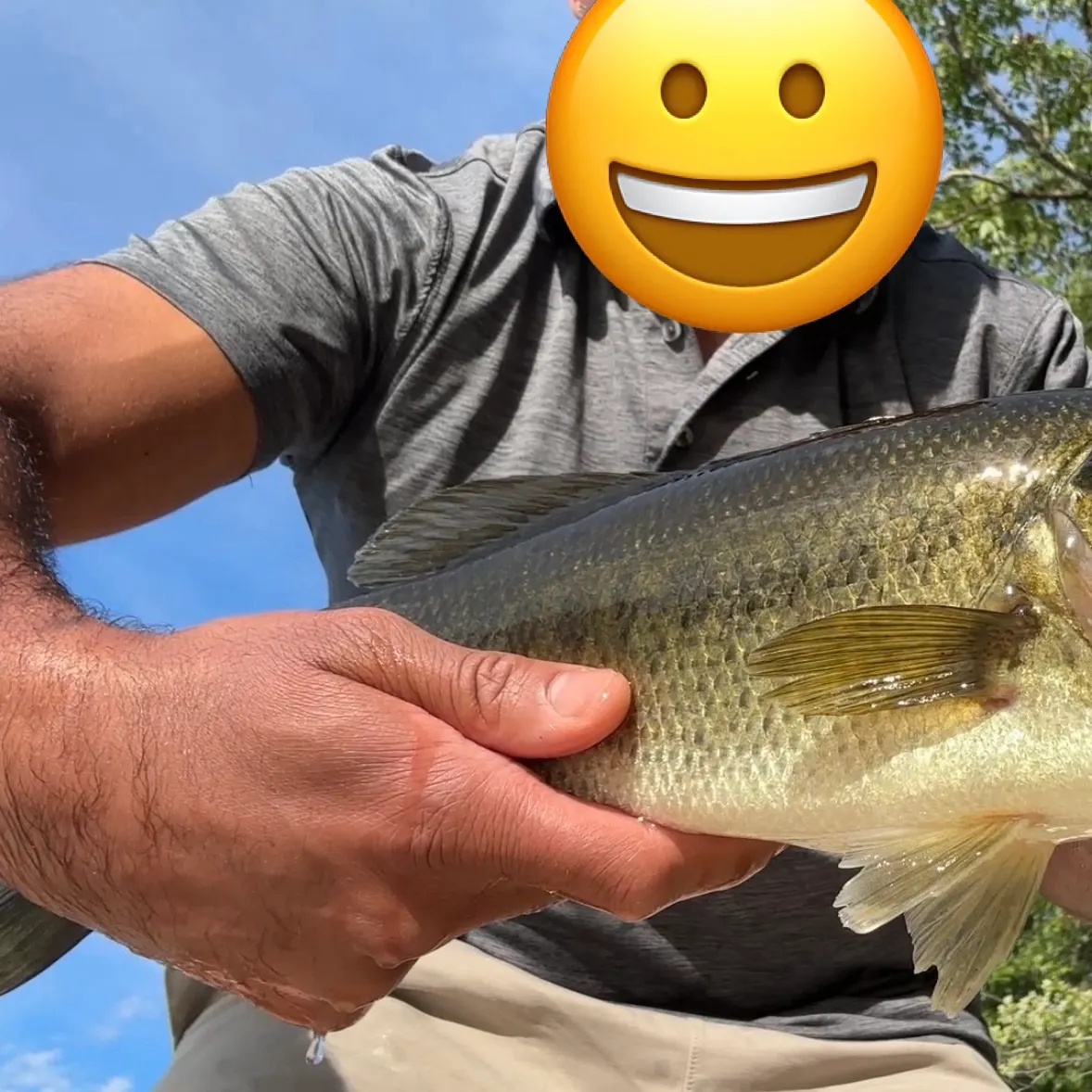 Largemouth bass caught on Fishbrain