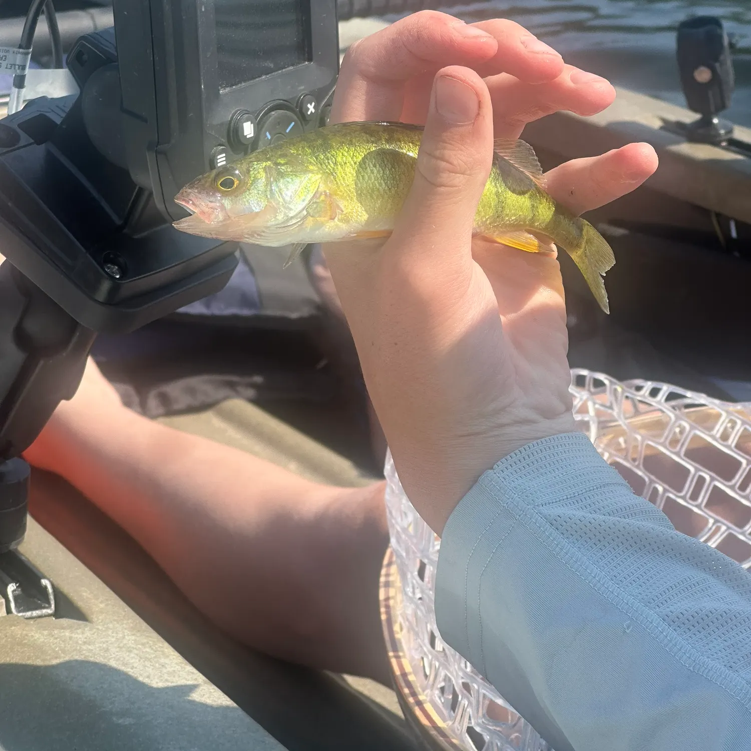 Fish caught on Fishbrain