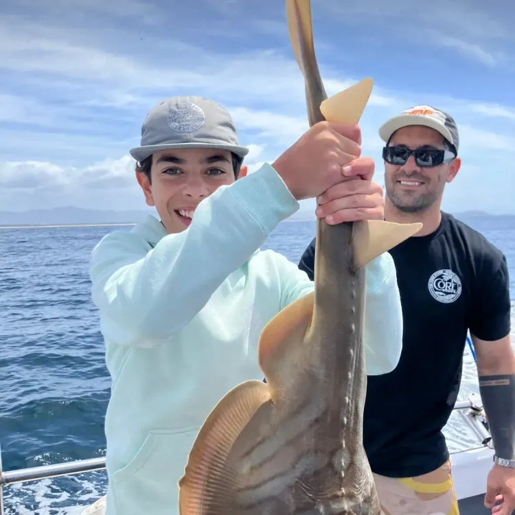 The most recent Southern fiddler catches on Fishbrain