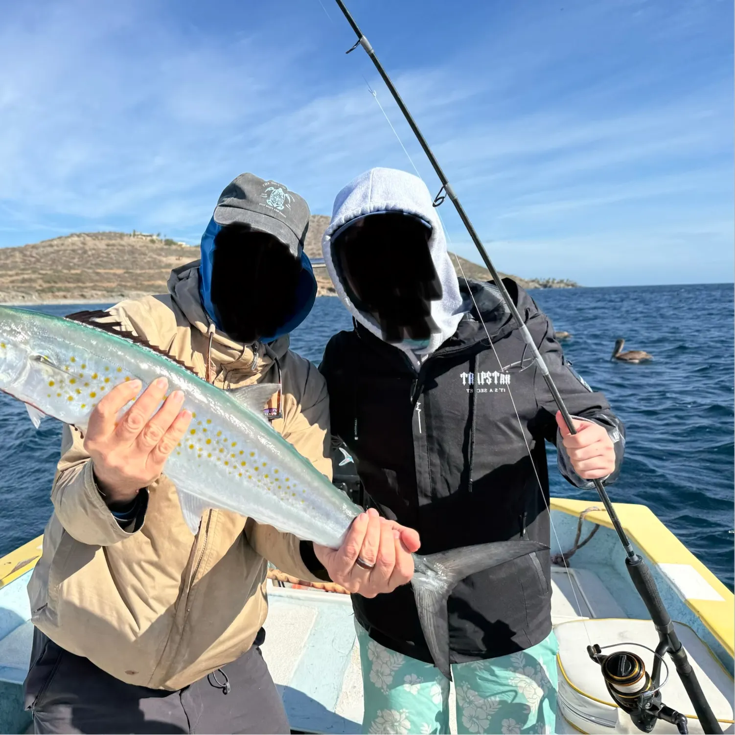 Pacific sierra caught on Fishbrain