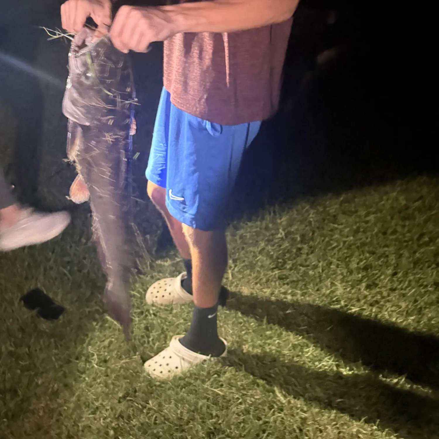 Channel catfish caught on Fishbrain