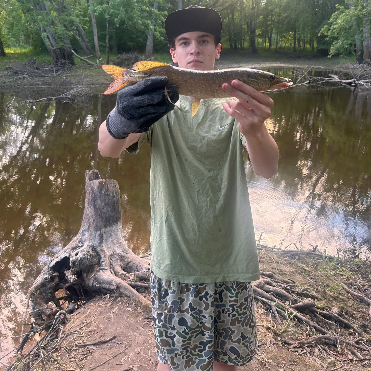 catch