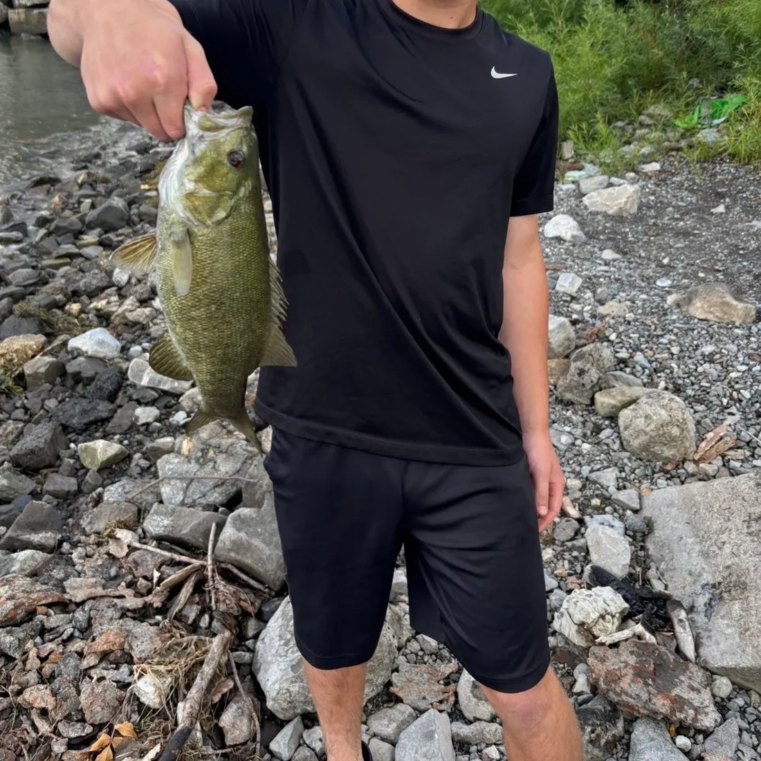 Smallmouth bass caught on Fishbrain