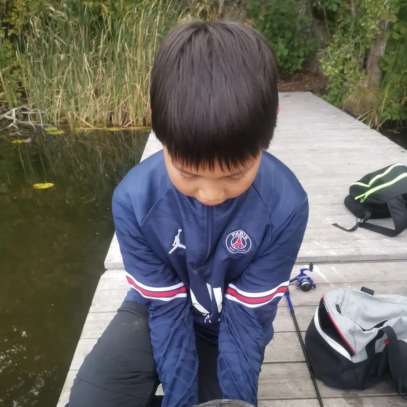 European perch caught on Fishbrain