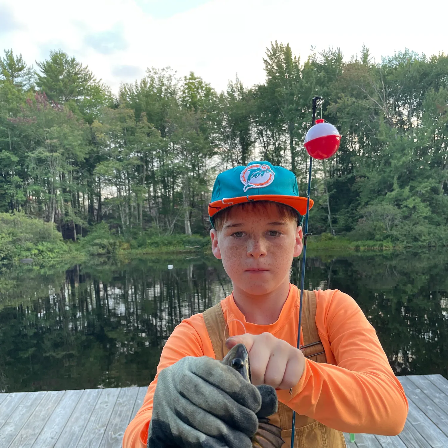 Yellow perch caught on Fishbrain
