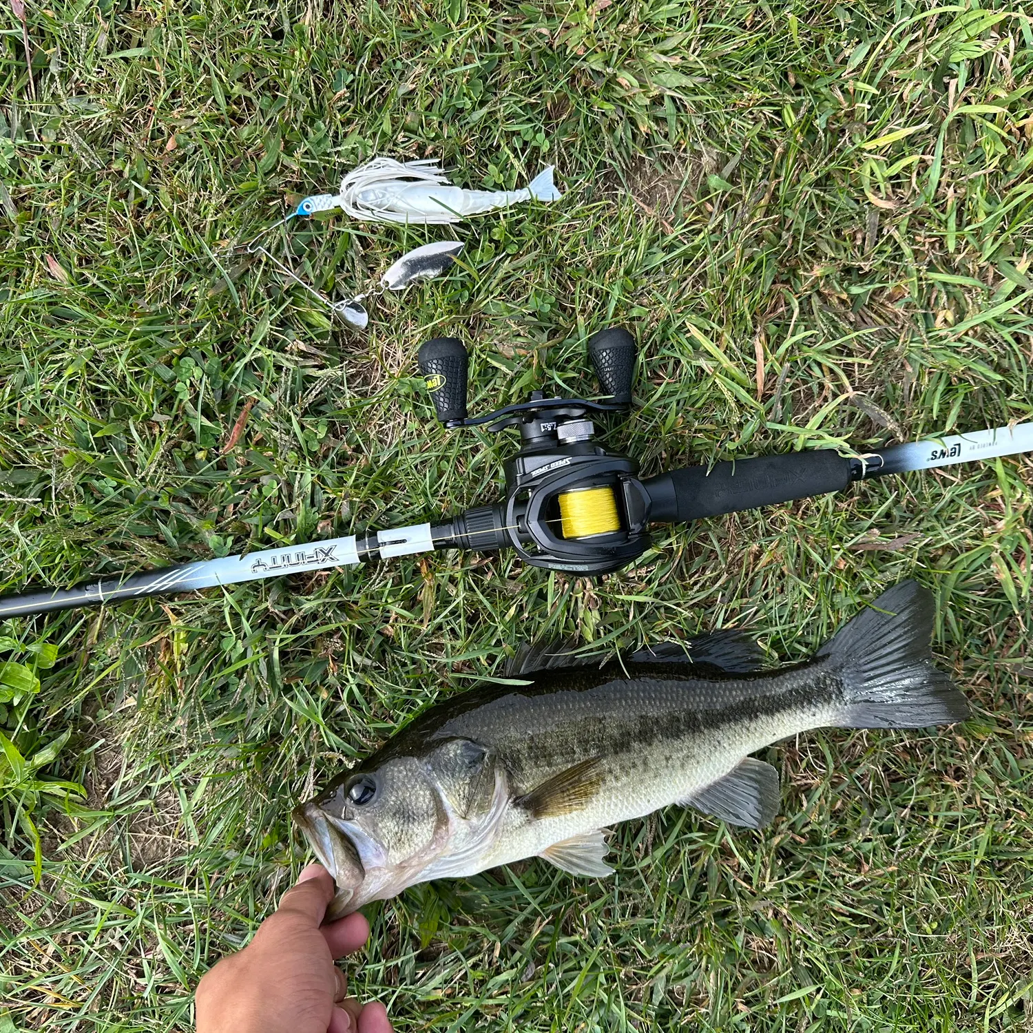Largemouth bass caught on Fishbrain