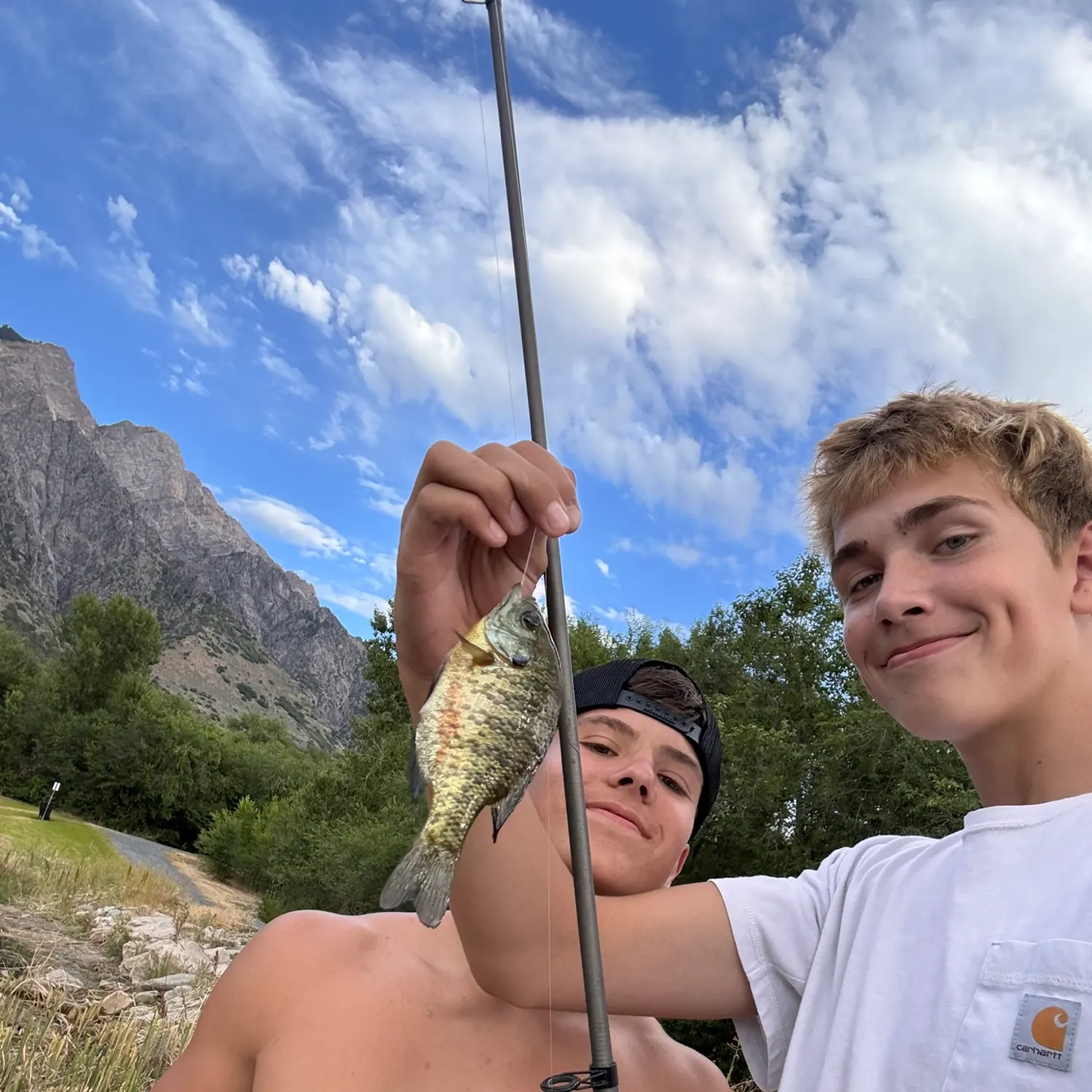 catch