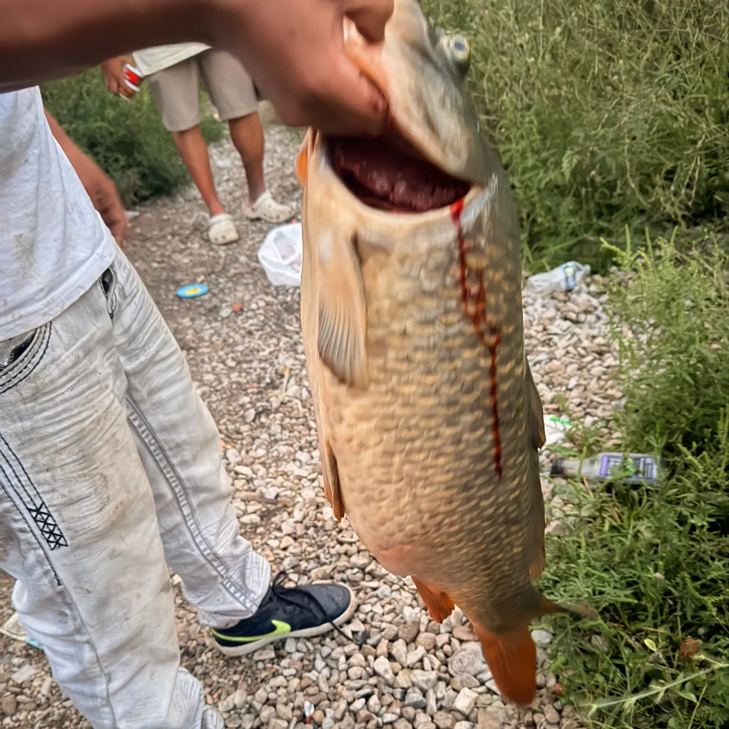 catch