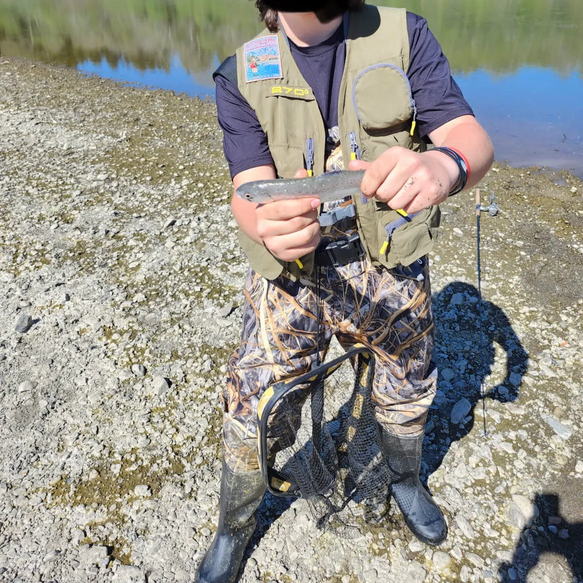 The most recent Steelhead catches on Fishbrain