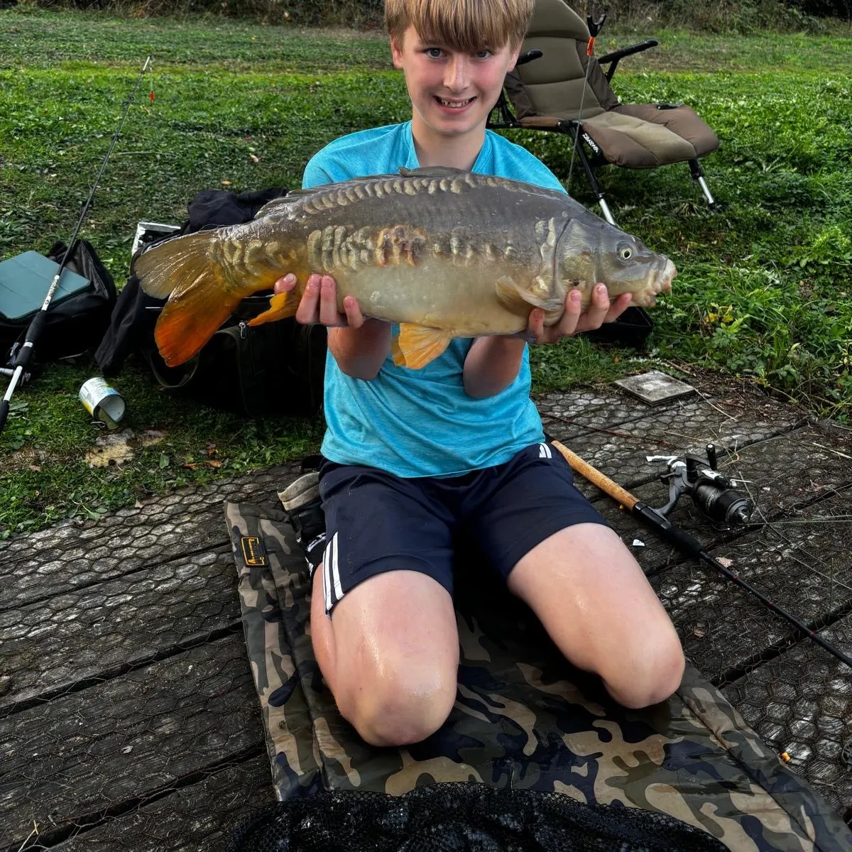 Mirror carp caught on Fishbrain