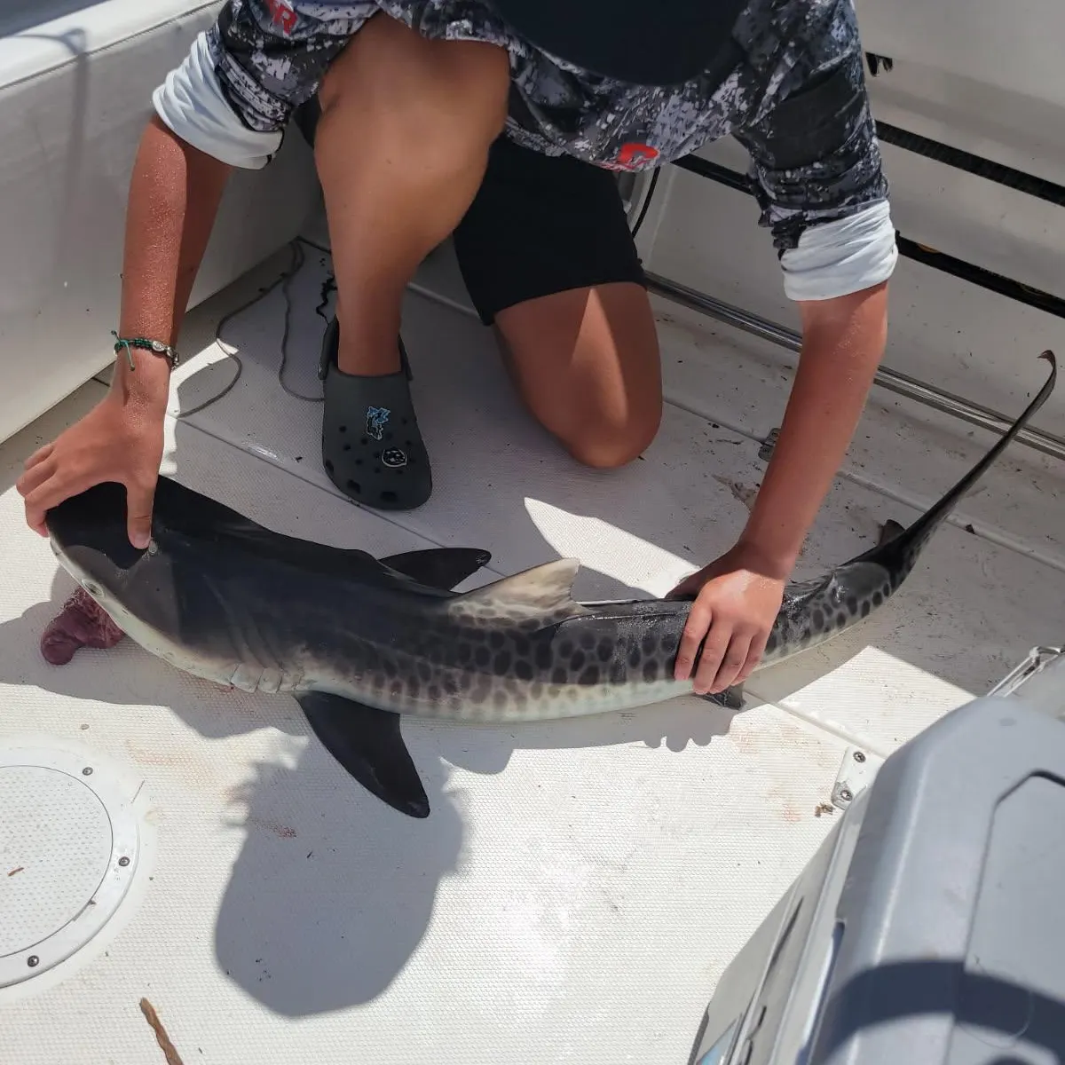 most liked catch image