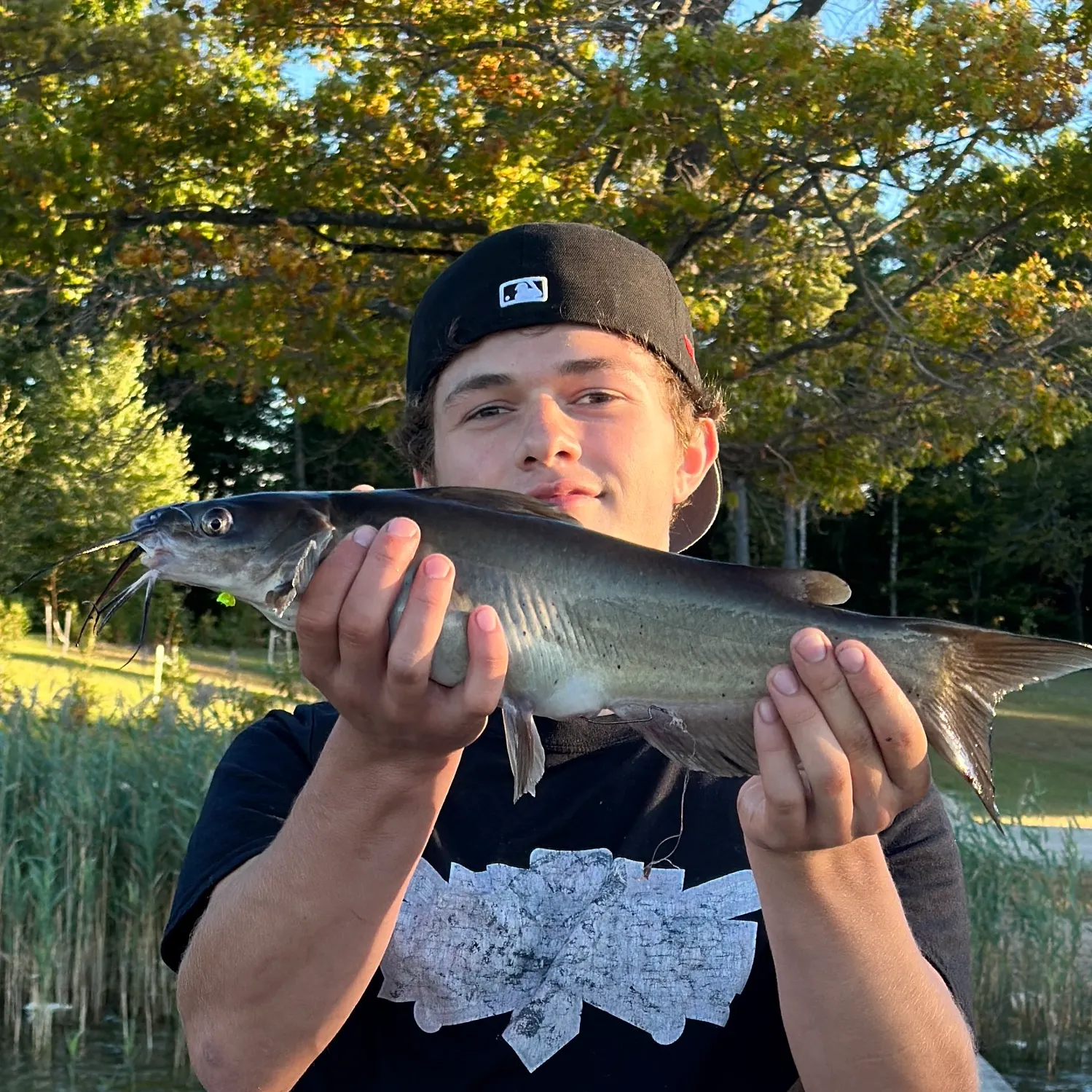 Channel catfish caught on Fishbrain