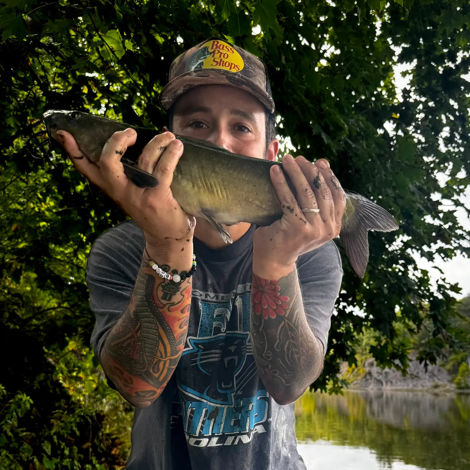 Channel catfish caught on Fishbrain