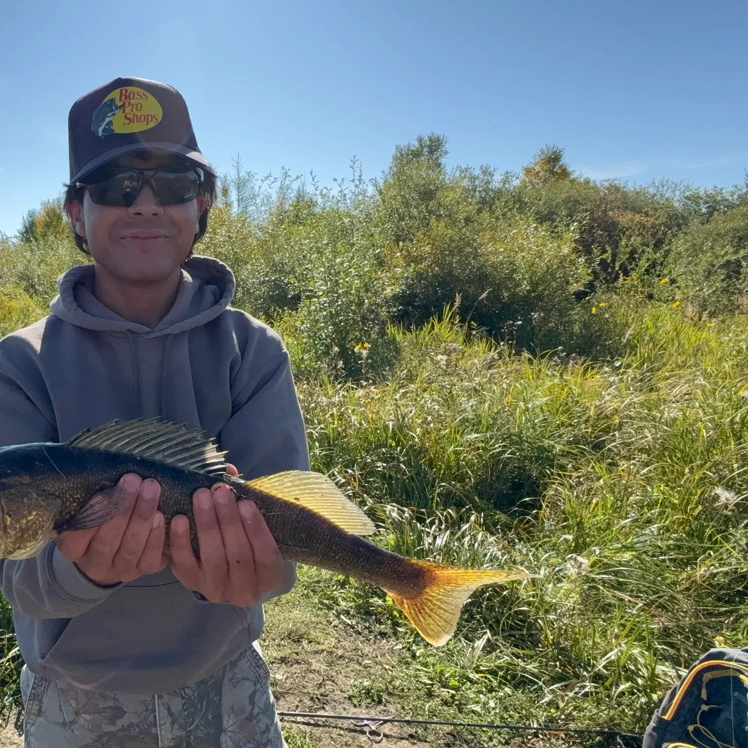 Walleye caught on Fishbrain
