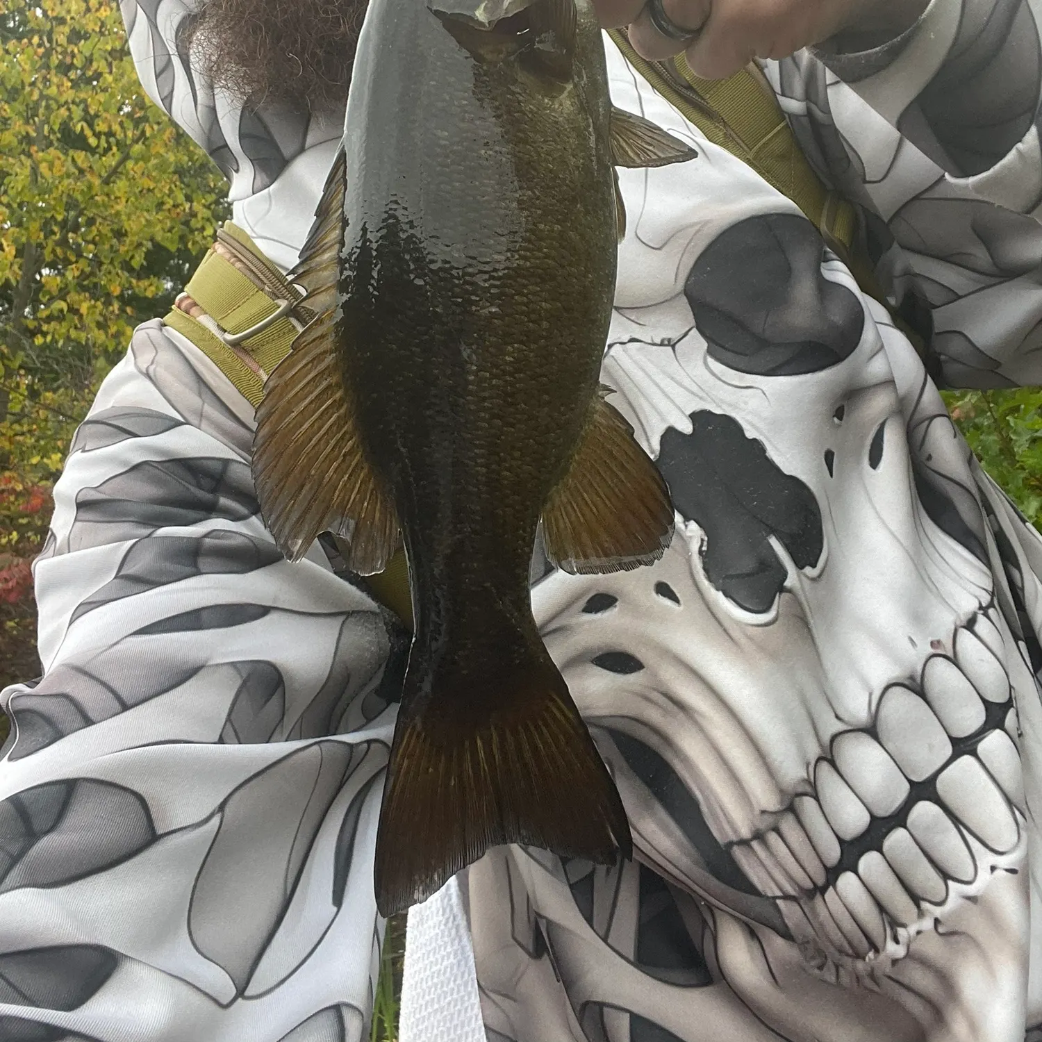 Smallmouth bass caught on Fishbrain
