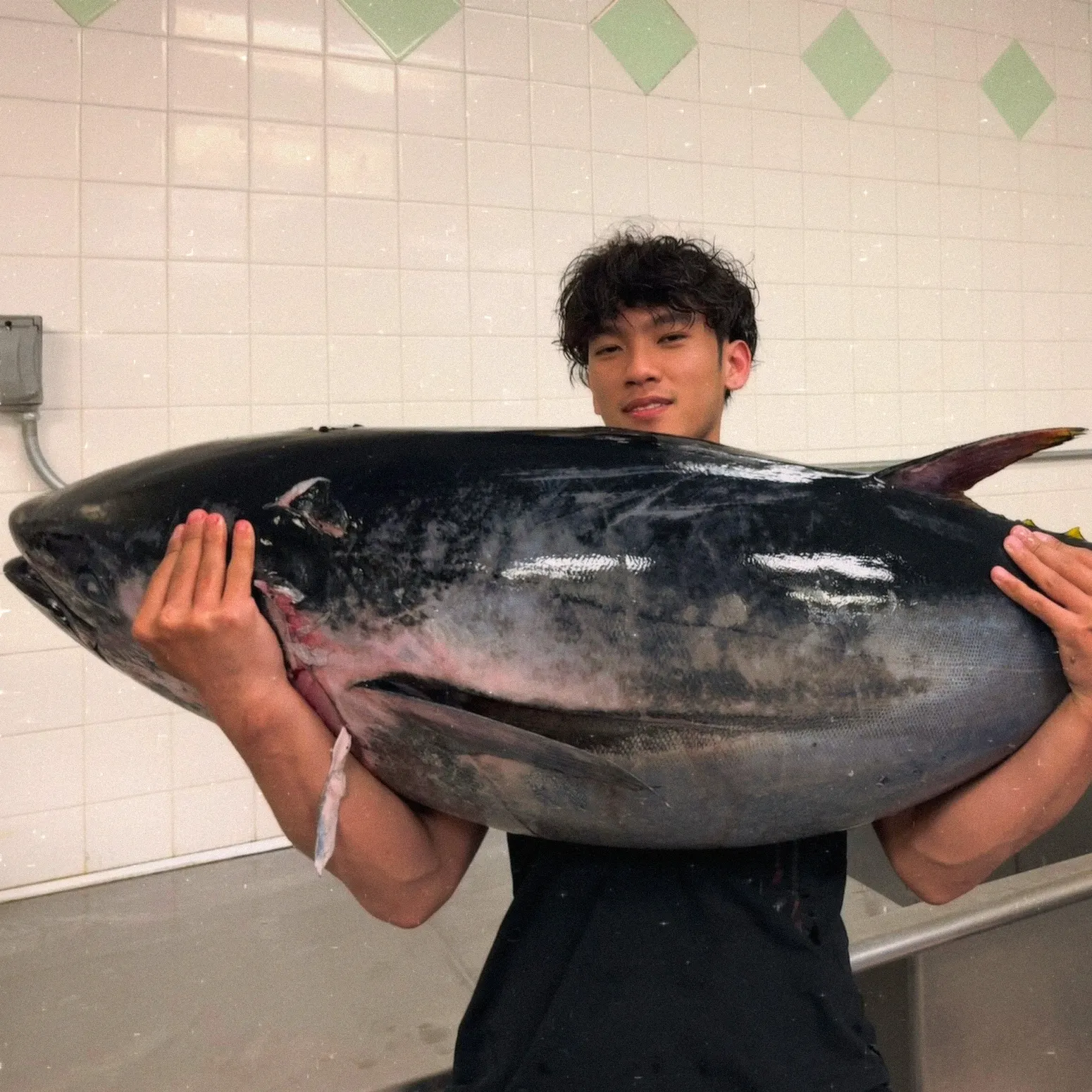 The most recent Atlantic bluefin tuna catches on Fishbrain