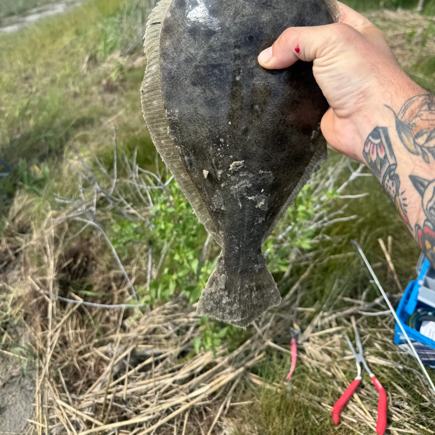 catch
