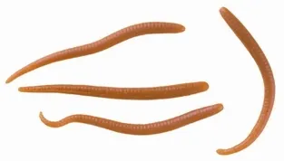Gulp! Mini Earthworm