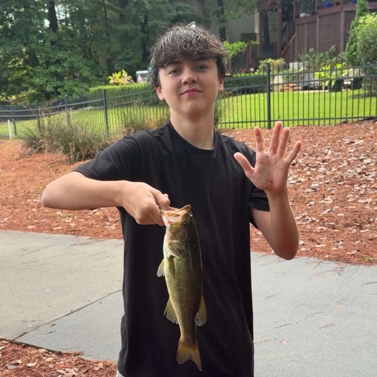 Largemouth bass caught on Fishbrain