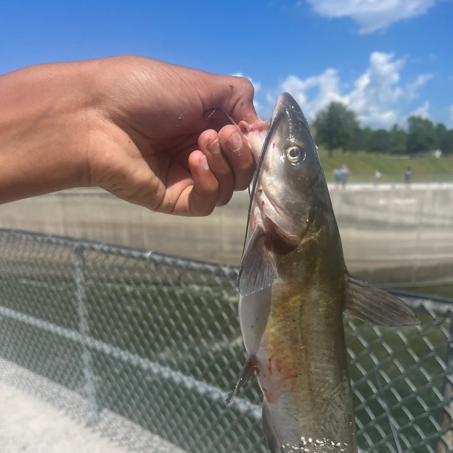 catch